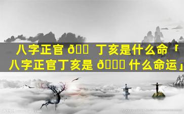 八字正官 🐠 丁亥是什么命「八字正官丁亥是 🍀 什么命运」